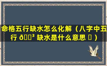 命格五行缺水怎么化解（八字中五行 🐳 缺水是什么意思 ☘ ）